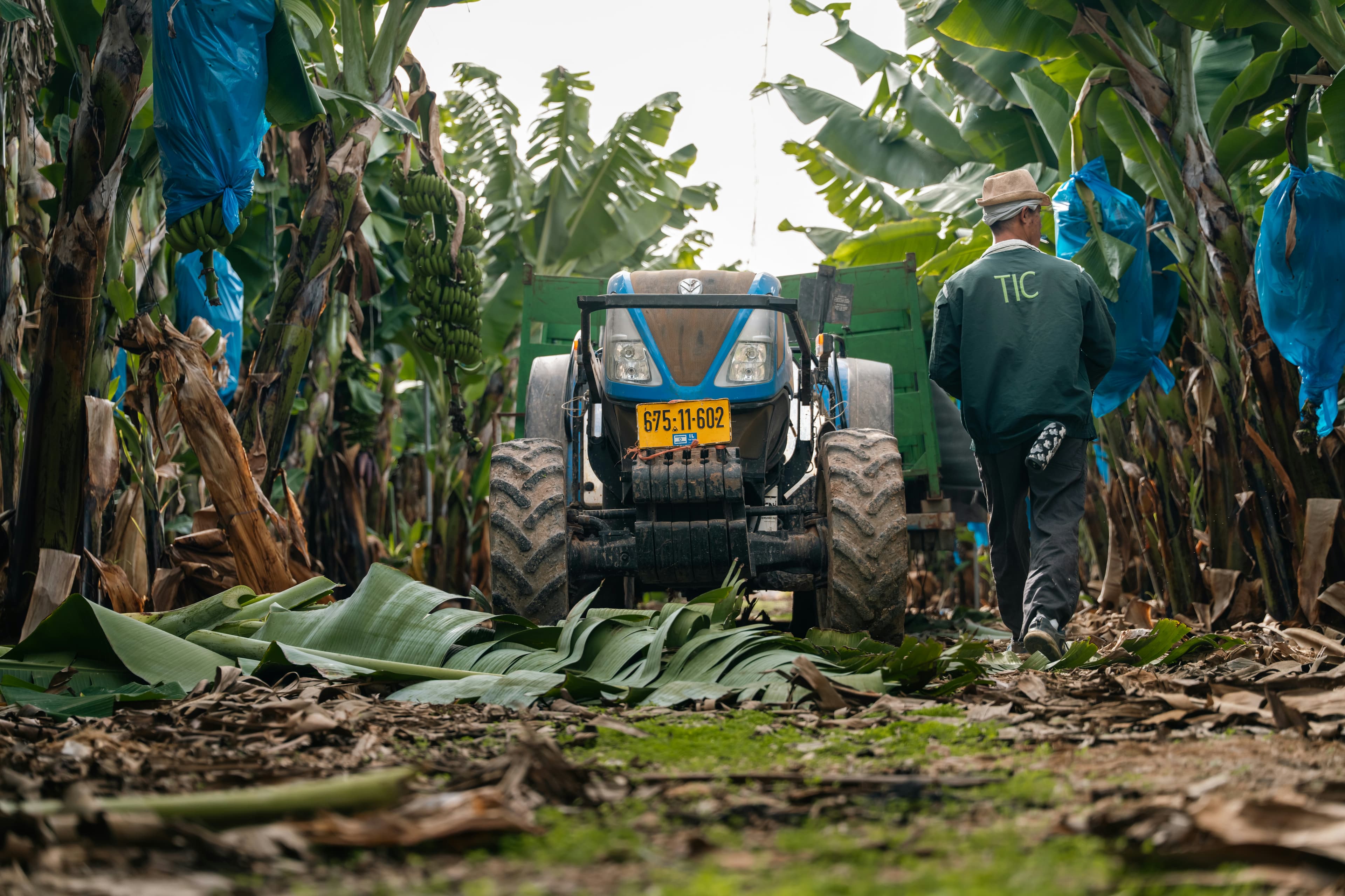Agricultural processing equipment