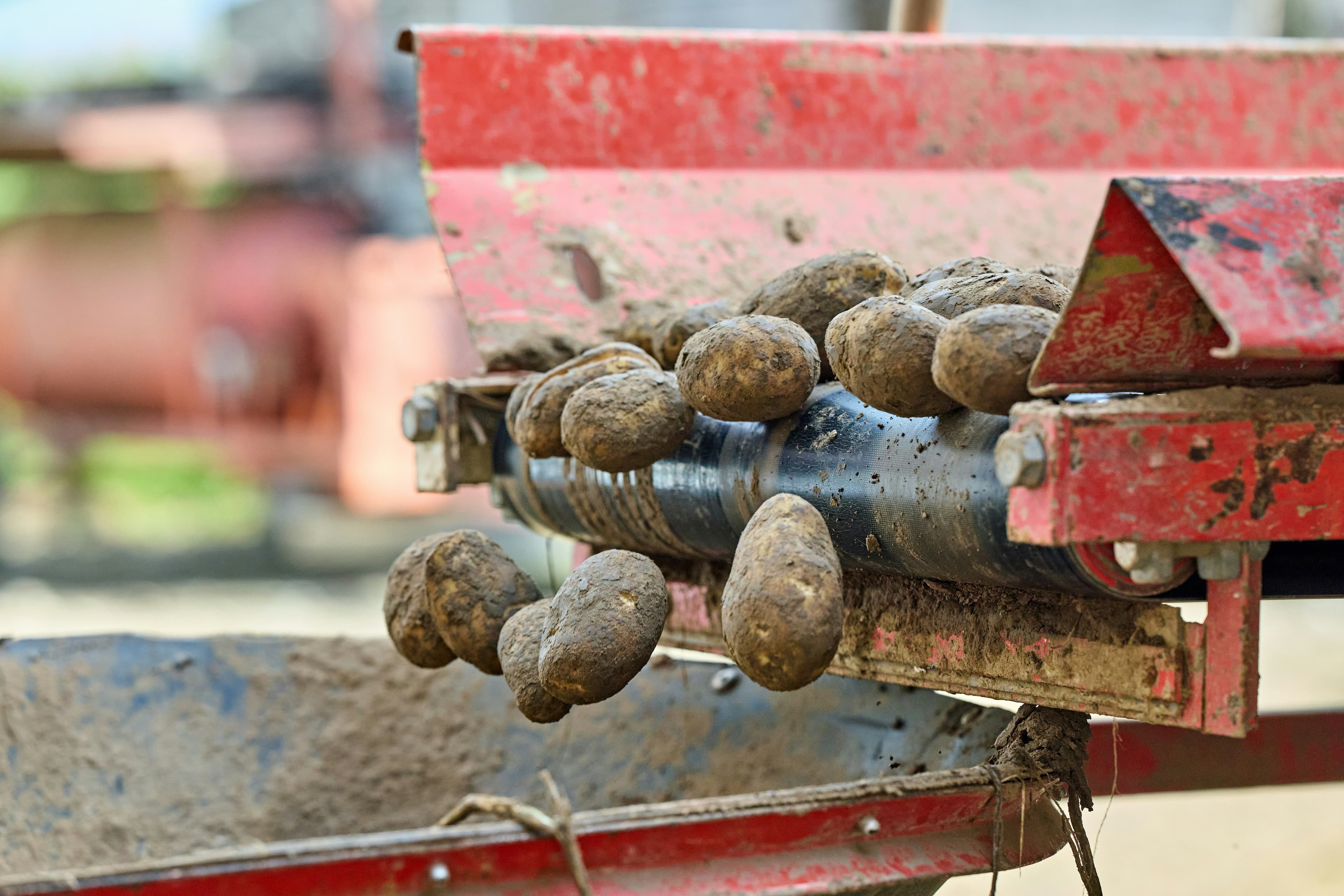Agricultural processing equipment